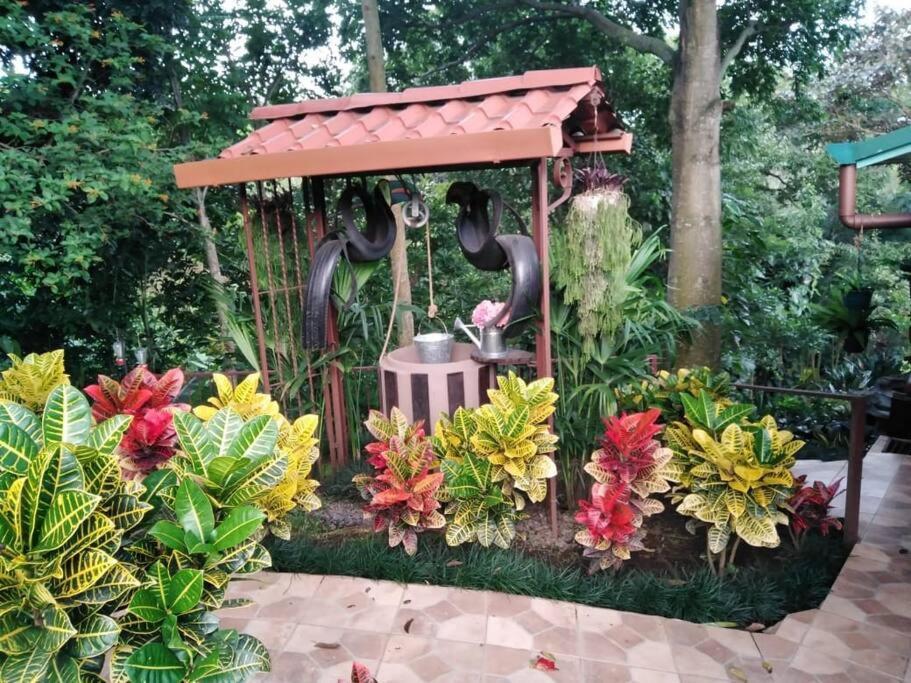 Eco Villas Tambor Tucanes Tambor (Alajuela) Exterior foto