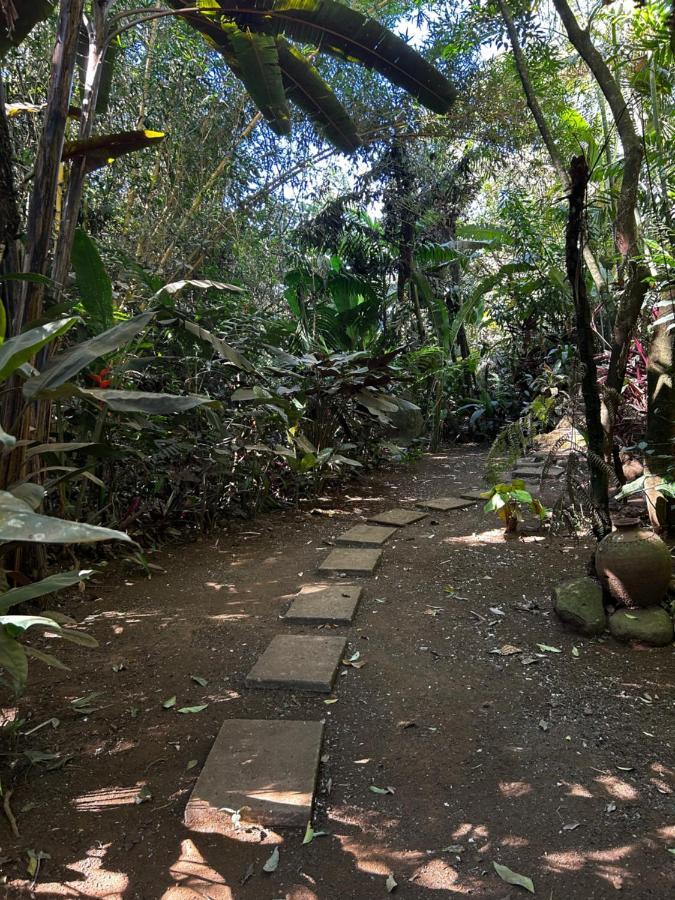 Eco Villas Tambor Tucanes Tambor (Alajuela) Exterior foto