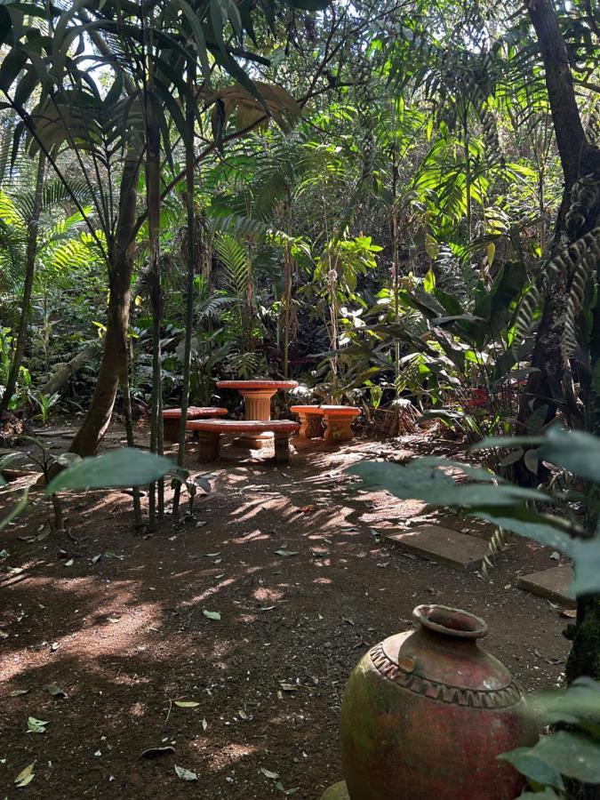 Eco Villas Tambor Tucanes Tambor (Alajuela) Exterior foto