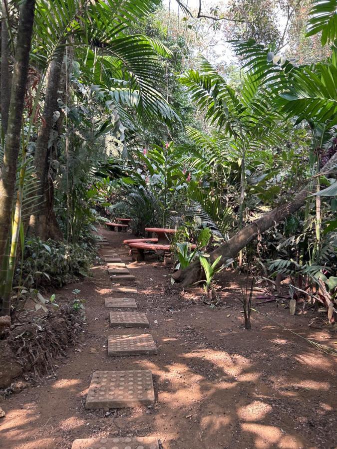 Eco Villas Tambor Tucanes Tambor (Alajuela) Exterior foto
