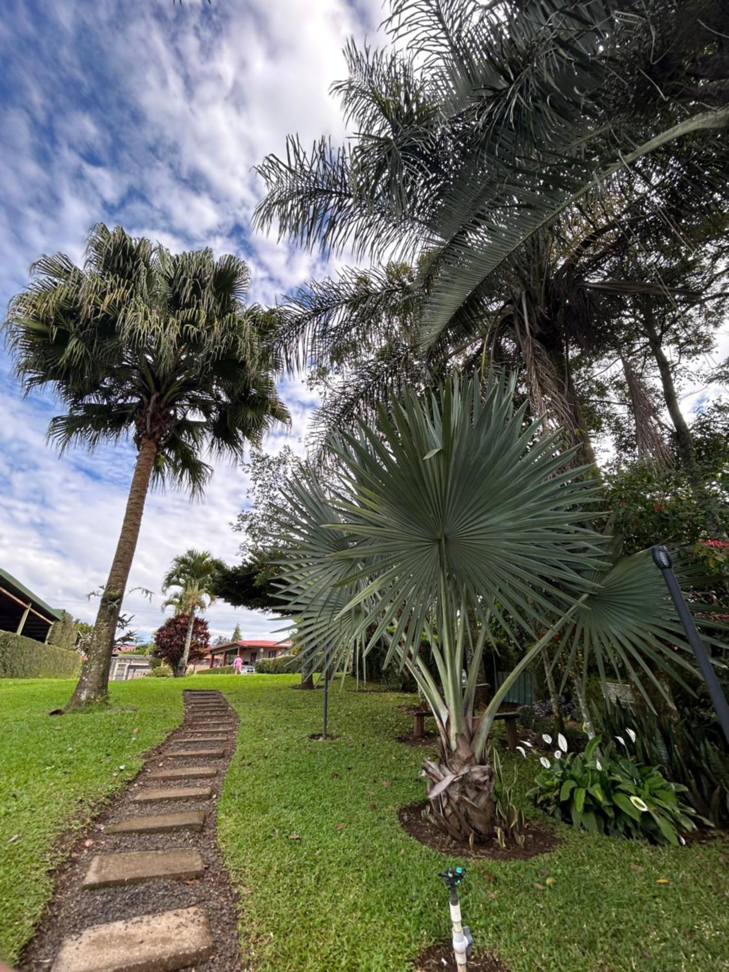 Eco Villas Tambor Tucanes Tambor (Alajuela) Exterior foto